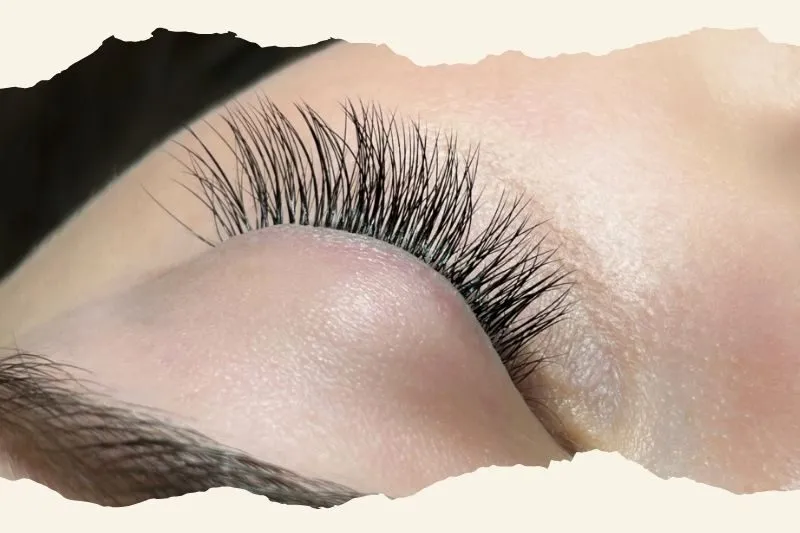 Diễm Eyelash