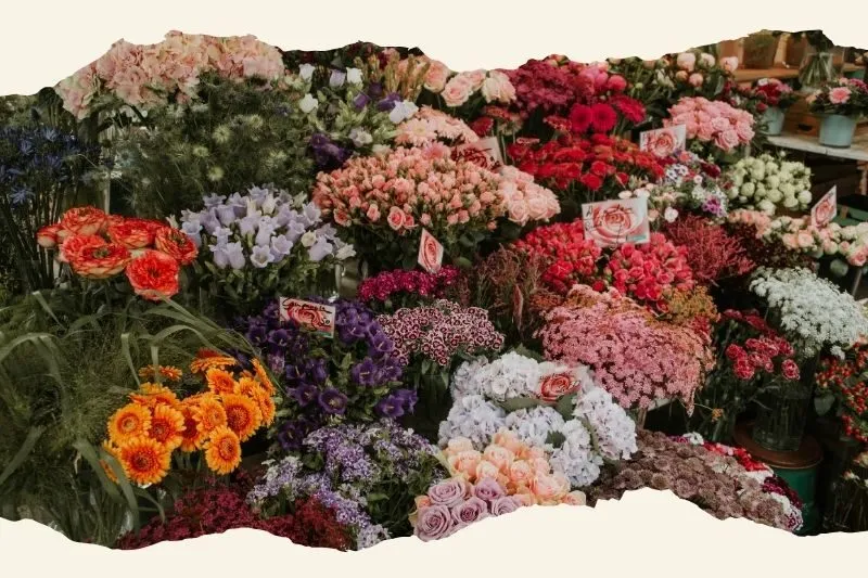 Emery Flower