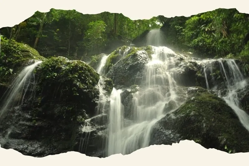 Khu Bảo tồn Thiên nhiên Kon Jang Răng