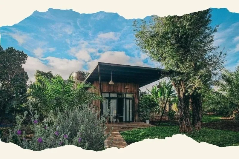Paksong Farmstay Gia Lai – Địa Điểm Lưu Trú Lý Tưởng Tại Gia Lai